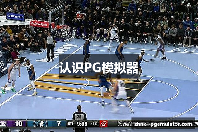 认识PG模拟器